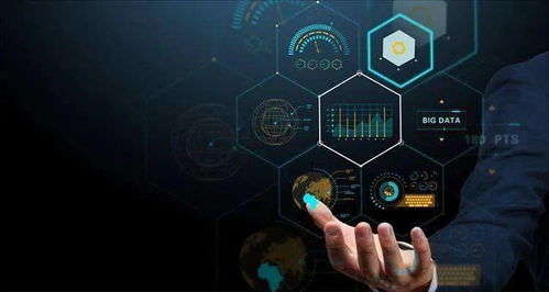 十月新规上线，软件开发领域迎来关键变革